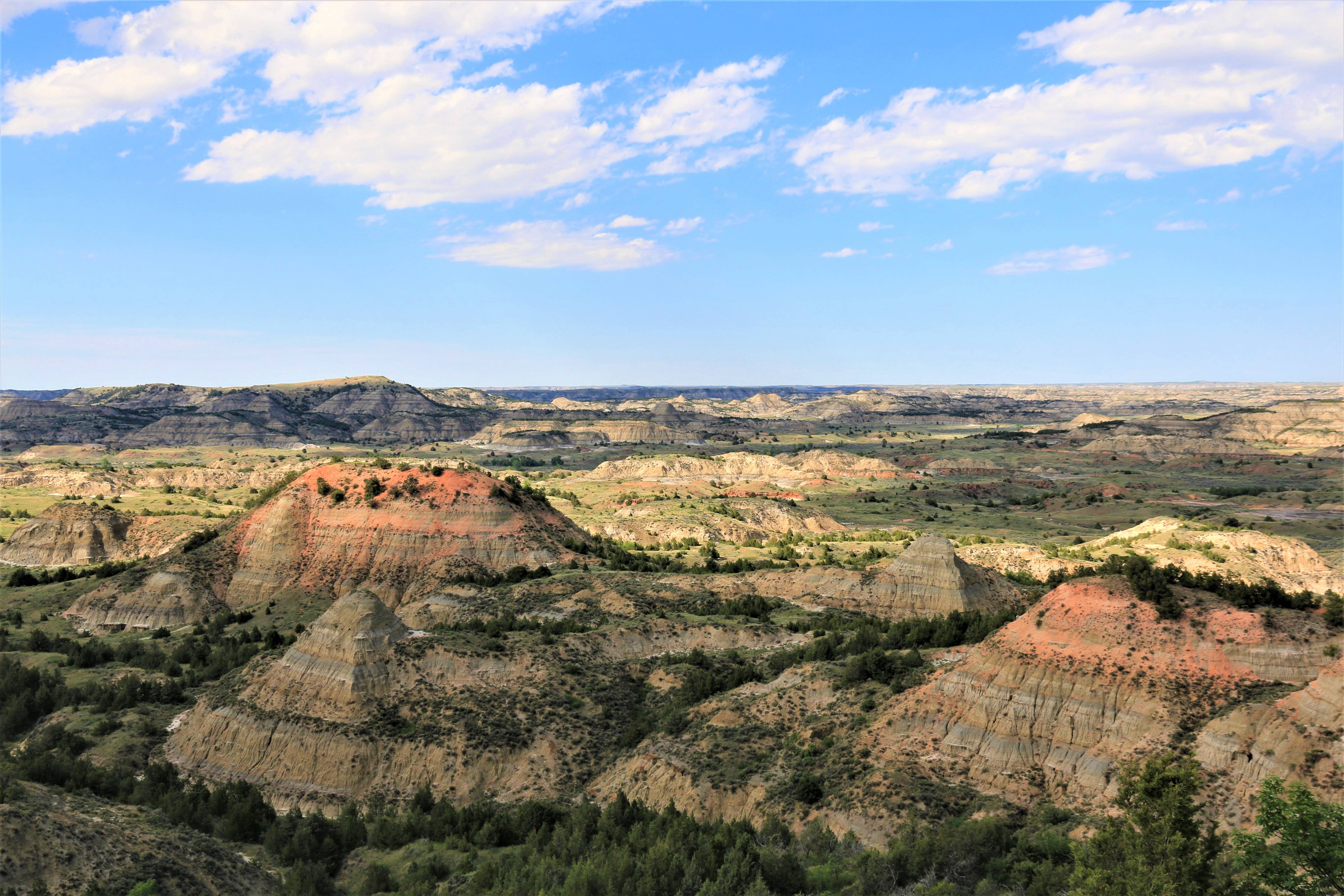 Theodore Roosevelt NP